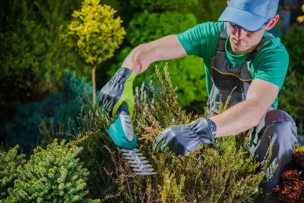 landscaping services East Randolph